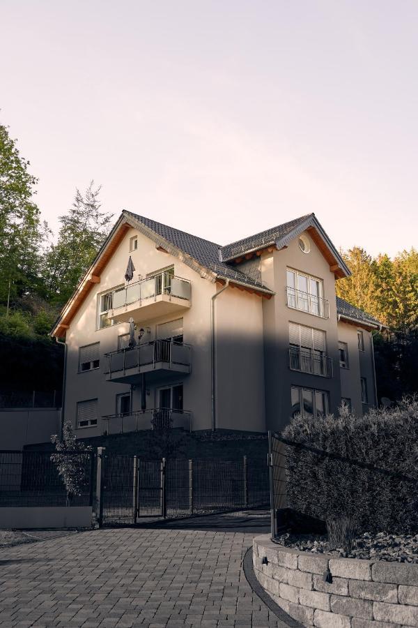 118Qm Premium Apartment - Birkenfeld National Park Ellweiler Екстер'єр фото